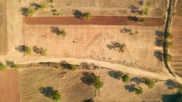 Drone shot of a rural farm landscape with fields and trees in summer.
